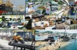 Chỉ đạo, điều hành của Chính phủ, Thủ tướng Chính phủ nổi bật trong tuần